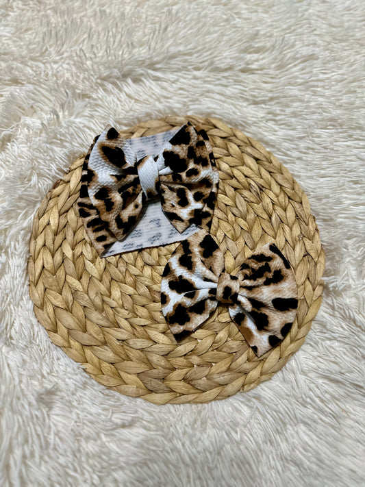 Neutral Cheetah